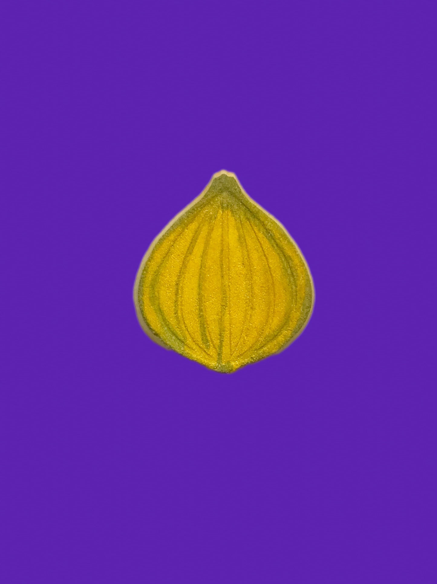 Onion Mold