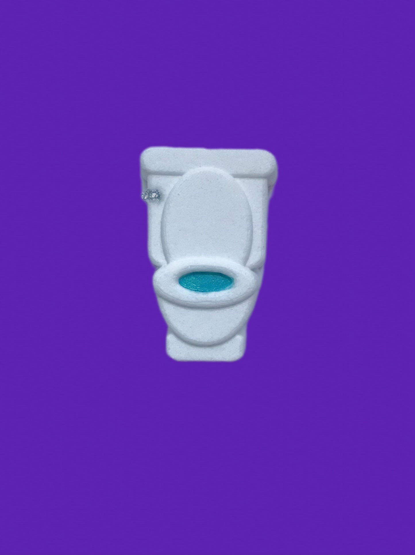 Toilet Mold