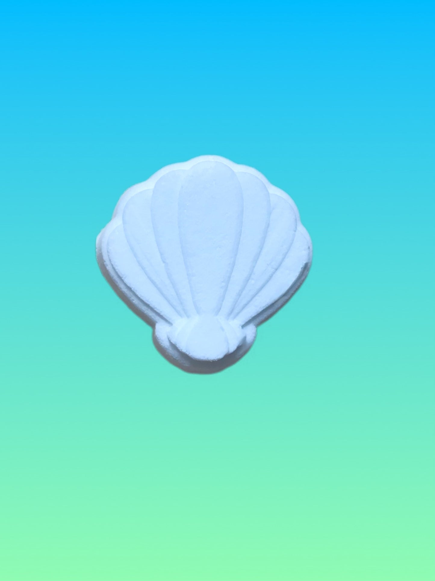 NEW Seashell Mold
